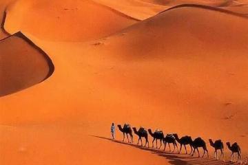 世界十大沙漠面积